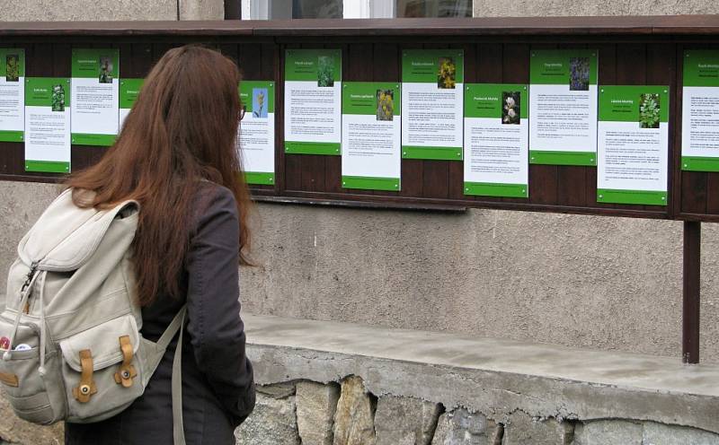 V Katolickém gymnáziu Třebíč mají nově bylinkovou zahrádku s pěti desítkami rostlinek. Její součástí je také naučná stezka s informacemi o bylinkách i příjemné posezení pro studenty a veřejnost.