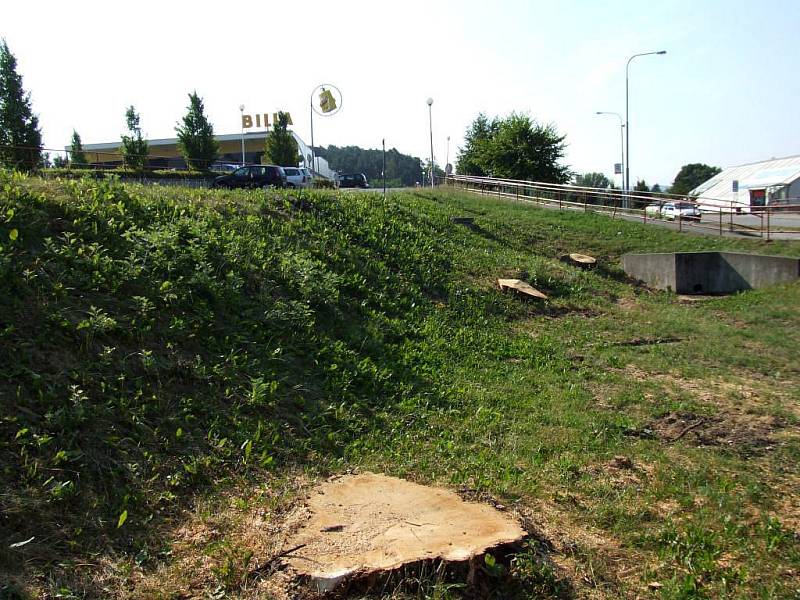 Rázné kouzlo po řádění bouřky provedli úředníci z třebíčské radnice a stromy nechali vykácet.