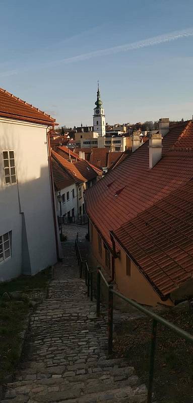 Židy a Bazilika sv. Prokopa. Podívejte se na snímky města Třebíč a jeho okolí