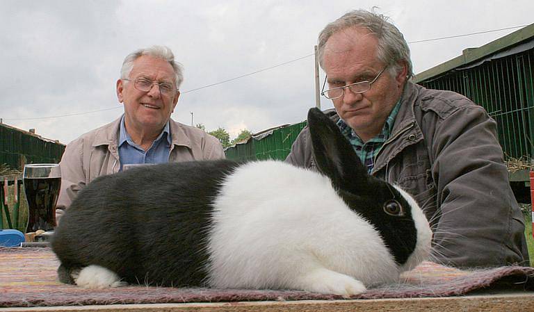 Výstavu drobného zvířectva uspořádali o víkendu chovatelé v Budišově. 