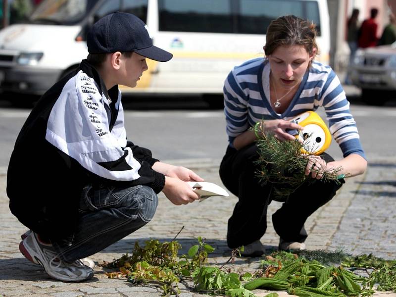 Při oslavách Dne Země byly na Karlově náměstí v Třebíči k vidění prezentace škol a organizací zabývajících se ekoligií.