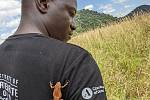 V Africe asi mají zvlášť přítulné žáby. Foto: Ústav biologie obratlovců AV ČR ve Studenci na Třebíčsku