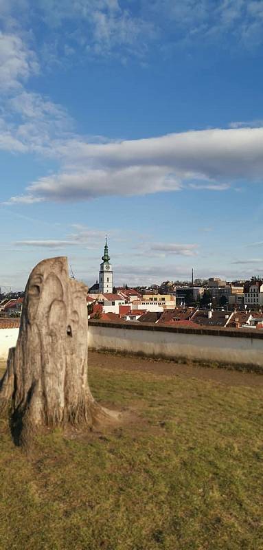 Židy a Bazilika sv. Prokopa. Podívejte se na snímky města Třebíč a jeho okolí