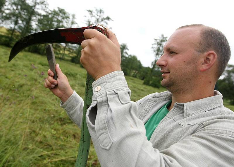 Devět dobrovolníků z řad ochránců přírody v pondělí časně ráno začalo kosit chráněná podmáčená luka se vzácnými orchidejemi poblíž Zašovic na Třebíčsku.