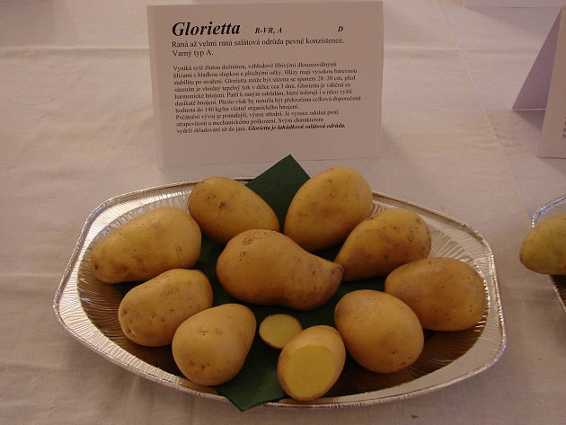 Výstavu a ochutnávku brambor připravili v Lukově