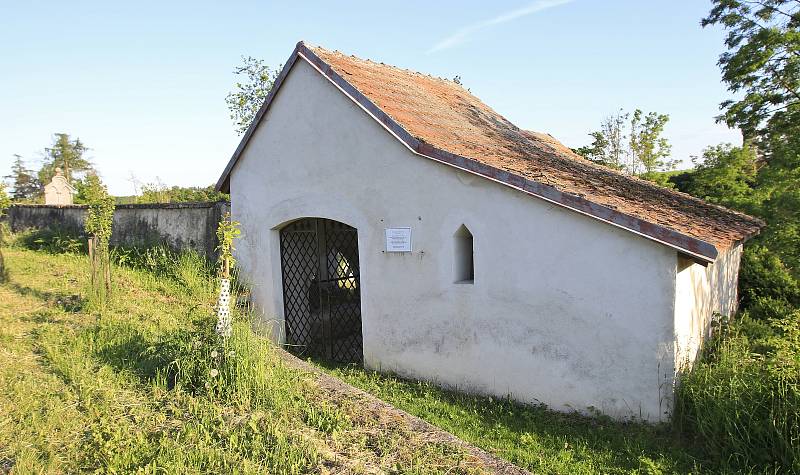 Židovský hřbitov v Polici.