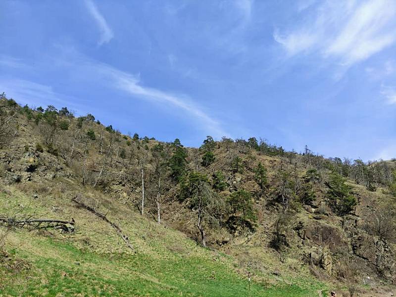 Národní přírodní rezervace Mohelenská hadcová step. Foto: se svolením Jiřího Pernici