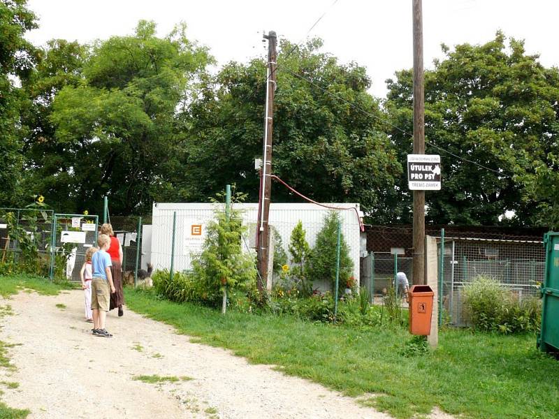 Malé štěně odpočívá za mřížemi kotce v třebíčském útulku. Je jedním z několika desítek čtyřnohých tvorů, který je souzeno takto žít. Psy u útulku často odkládají sami majitelé.