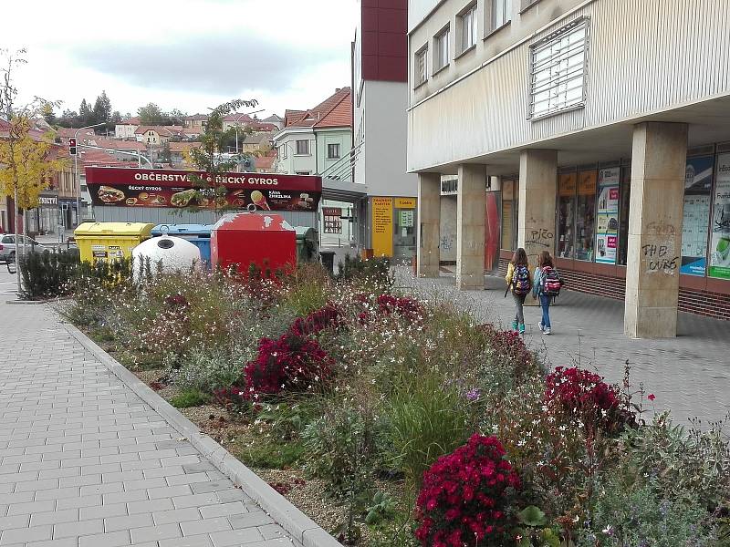 Ještě v období tohoto podzimu se uskuteční úpravy zeleně na Komenského náměstí v Třebíči v hodnotě 300 tisíc korun. Na Třebíčany často kritizovaném svažitém záhonu, kam v nedávné době radnice nechala navézt drobné oblázky, budou keře.