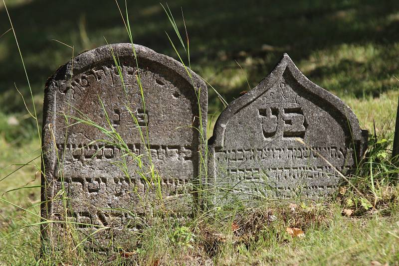Student hebraistiky Tobiáš Smolík provedl zájemce historií třebíčského židovského hřbitova.
