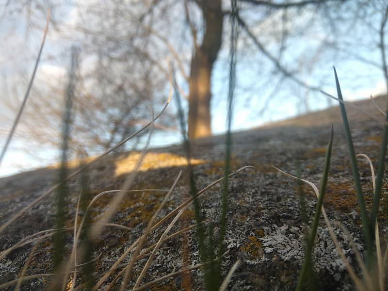 Land art v Rudíkově