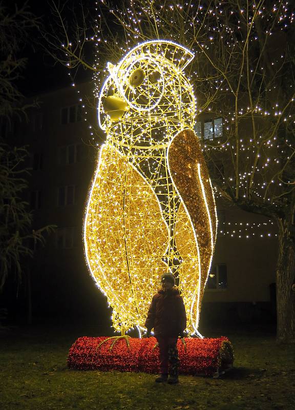 Třebíč přivítala advent. Po celém městě lze najít nejen běžnou vánoční výzdobu, ale i různá svítící zvířata, postavy, na Hrádku je opět i vánoční průchod.