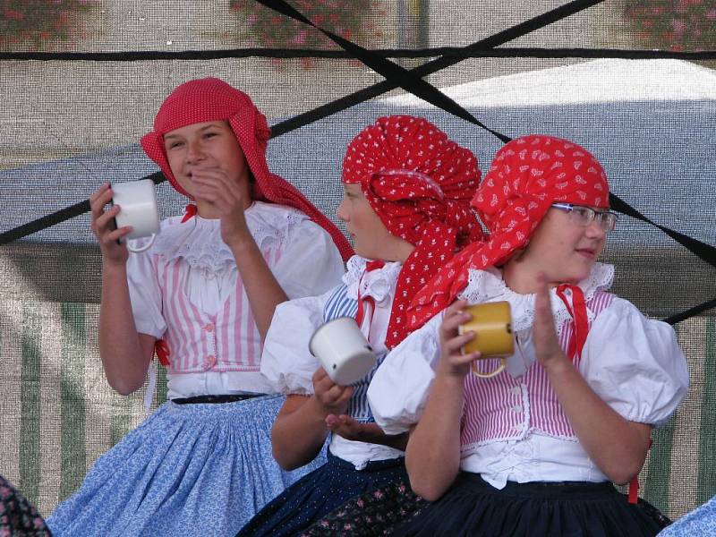 Na pódiu na Karlově náměstí se vystřídaly dětské i dospělé soubory. Některé soubory dokonce doprovázely vlastní kapely, takže nechyběla vystoupení taneční, hudební a ni pěvecká.