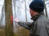 Farníci z Rudíkova prošli dvanáct hektarů lesa, který farnost v rámci církevních restitucí získala. Některé krajové stromy označili sprejem symbolem F.