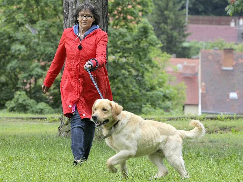 Marta Kubišová včera natáčela v třebíčském psím útulku další díl známého televizního pořadu Chcete mě? Na televizní obrazovce se tyto záběry objeví už 24. června.