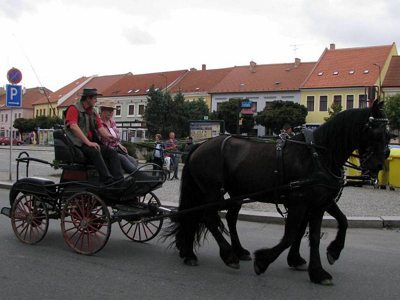 Koně živé vystřídali v sobotu dopoledne na Karlově náměstí v Třebíči ty pod kapotou a lákali na XX. Chovatelský den.