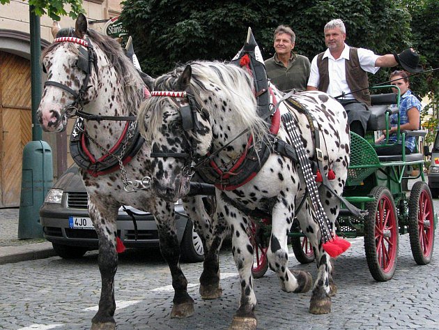 Chovatelský den láká na dostihy, fríské koně a rej bryček