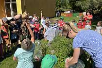 Děti v mateřské škole Okříšky pozorovaly motýly a učily se.