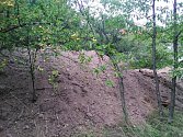 Původní stav černé skládky v sadě v zahrádkářské kolonii Skalka poblíž Štěpánovic; Zdroj: Se souhlasem Martina Brůčka