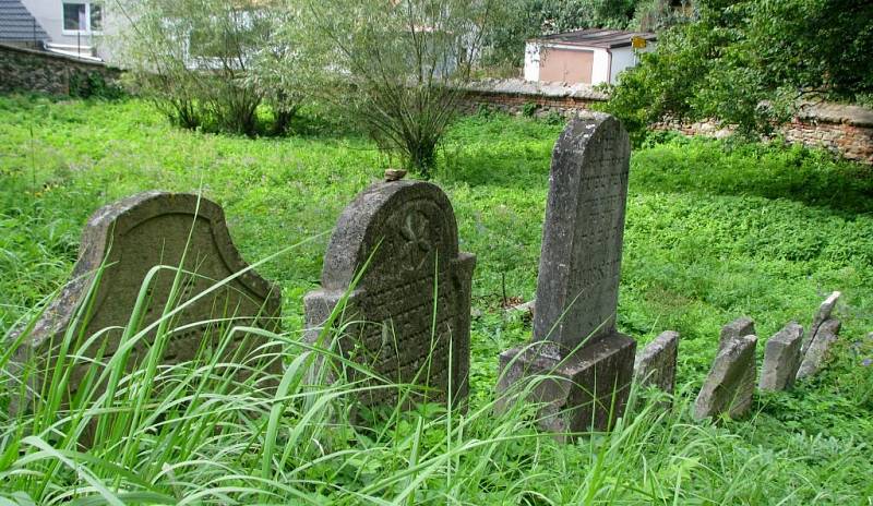 Židovský hřbitov nenajdete pouze v Třebíči. V okrese se můžete vyrazit podívat i na další. Ten jemnický patří k nejstarším na Moravě.