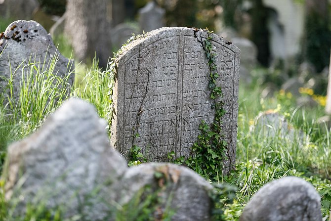 Židovský hřbitov v Třebíči - Světová památka UNESCO