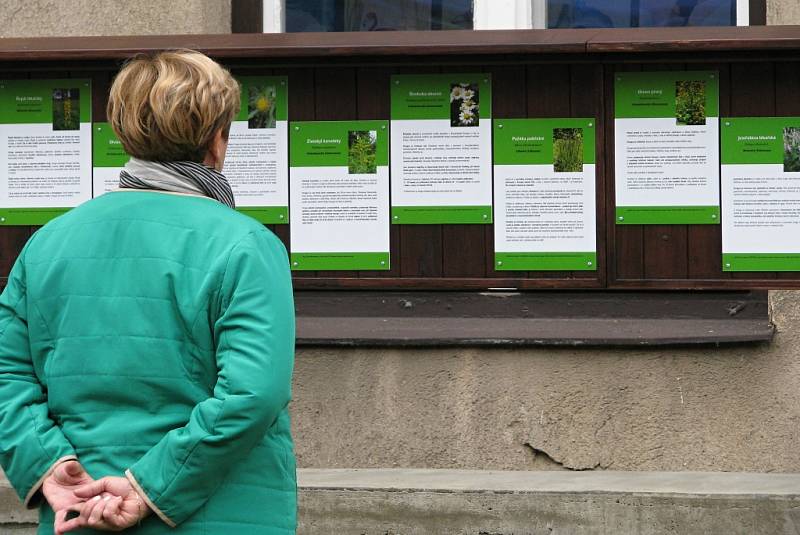 V Katolickém gymnáziu Třebíč mají nově bylinkovou zahrádku s pěti desítkami rostlinek. Její součástí je také naučná stezka s informacemi o bylinkách i příjemné posezení pro studenty a veřejnost.