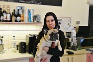 V červnu už to bude šest let, kdy Natálie Stejskalová poprvé otevřela dveře své kavárny MUFin Coffe&Cakes. 