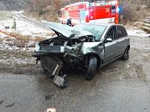 Řidička narazila autem do stromu. Foto: poskytl HZS Kraje Vysočina