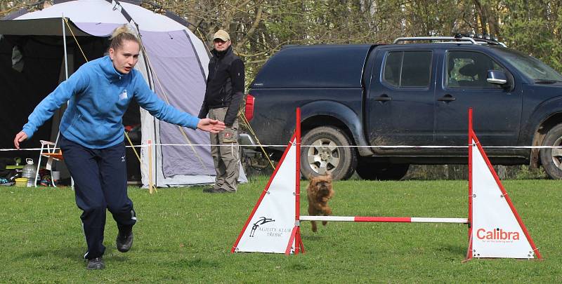 Velikonoční agility závod v Třebíči.