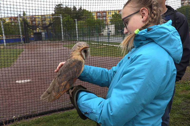 Na velmi těžkého soupeře narazili baseballisté Třebíče v další sérii extraligy.