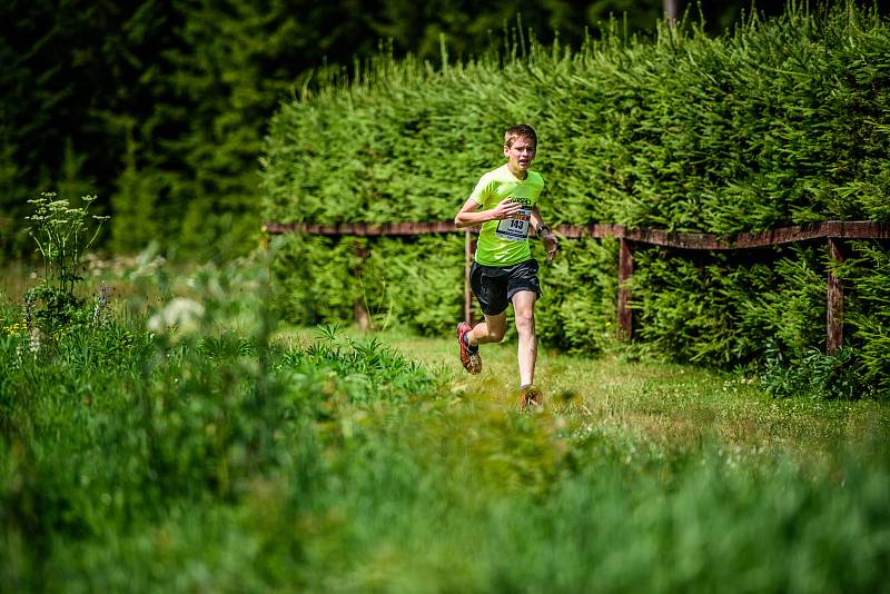 Nádherné slunečné počasí, ale i pořádný osvěžující déšť ke konci závodu provázel běžce na Milovech, kam letos úplně poprvé zavítal běžecký seriál Běhej lesy.