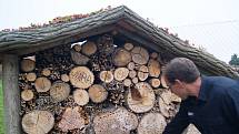 Zahradník Vladislav Vejtasa ukazuje hmyzí hotel. Je sestavený z různých druhů dřev, vlnitého papíru a cihel, má střechu osázenou rozchodníky.