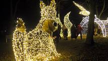 Třebíč přivítala advent. Po celém městě lze najít nejen běžnou vánoční výzdobu, ale i různá svítící zvířata, postavy, na Hrádku je opět i vánoční průchod.