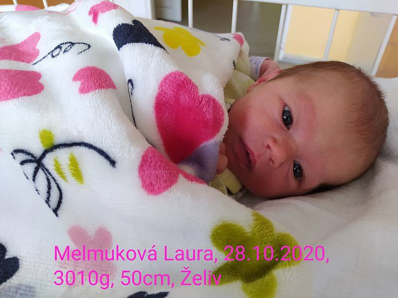 Laura Melmuková, 28.10. 2020, Želiv, 50 cm, 3010 g