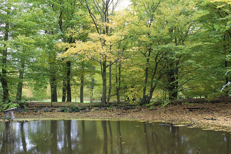 Zámecký park v Budišově.