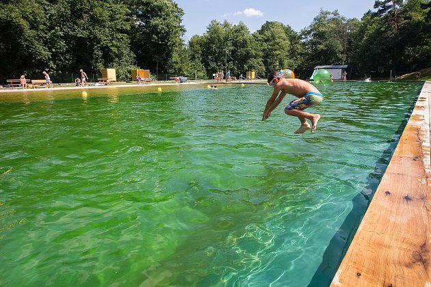 V Jemnici otevřeli koupaliště, které funguje na principu biotopu.