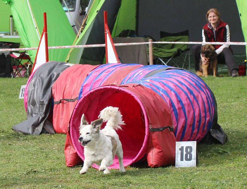 Velikonoční agility závod v Třebíči.