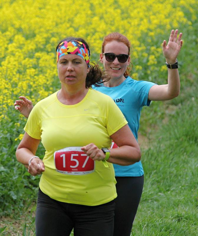 Halahoj Třebíčský půlmaraton 2019