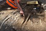 Archeologové v okolí Martinského náměstí našli kostry, nástroje i keramiku