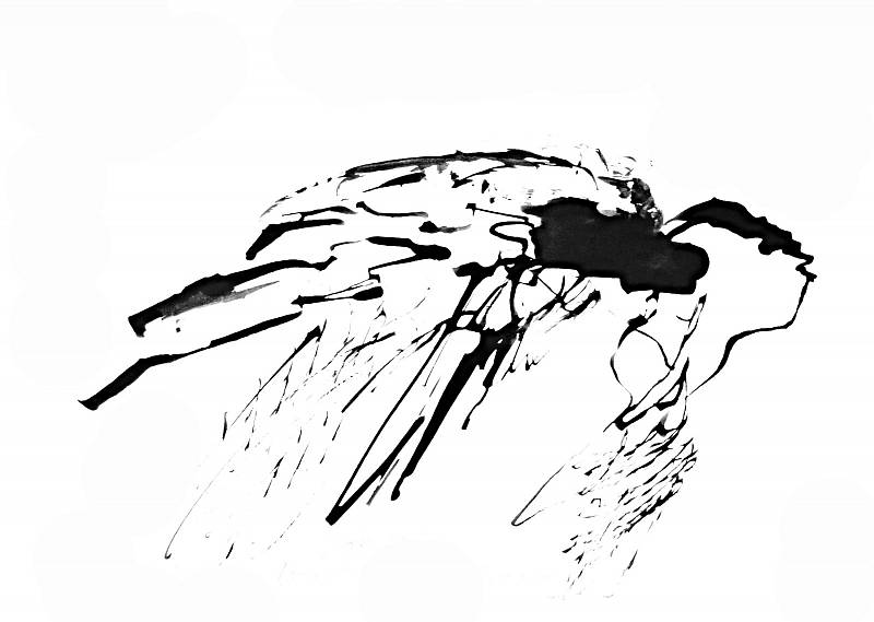 Jan Dočekal: Vysočina je letící Ikaros I-VI, vše kresba rákosem tuší na papíru, 21 x 29,7 cm, 2017.