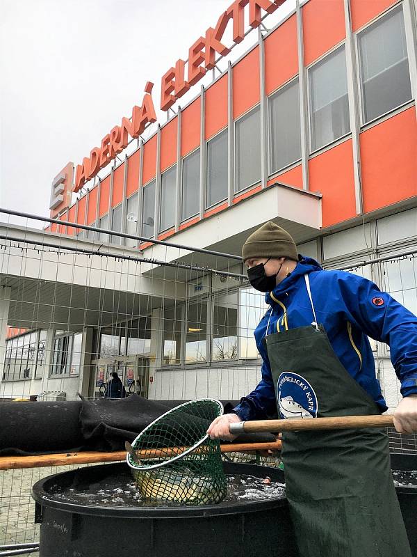 Energetici v Dukovanech vykoupili všechny pohořelické vánoční kapry