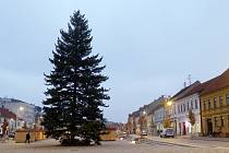 Vánoční strom na Karlově náměstí v Třebíči je tentokrát borovice douglaska. Přivezli jej sem z obce Smrk.