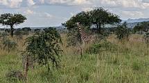 Africká krajina. Foto: Ústav biologie obratlovců AV ČR ve Studenci na Třebíčsku