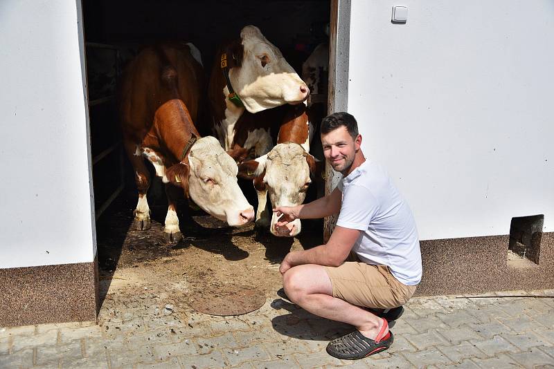 V Račicích na Třebíčsku funguje mlékomat. Lidé si zde mohou koupit čerstvé mléko od pěti krav z místní farmy, které se jmenují Alžběta, Julie, Rozárka, Kopretina a Zita.