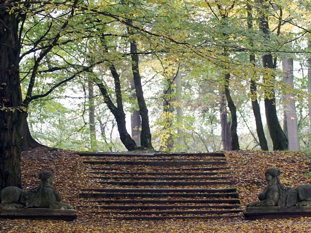 Park se sfingami obléká barvy podzimu. Podívejte se