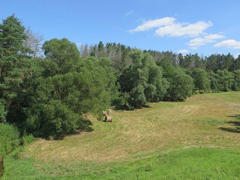 Vodu z Leštinského potoka zadržuje rozsáhlý poldr, který ji rozlévá na louku nad obcí.