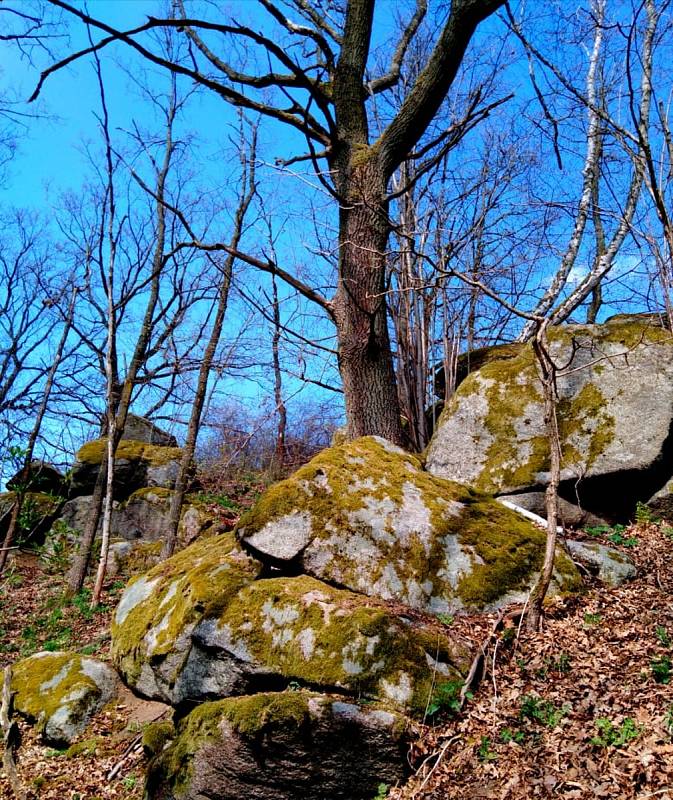 Přírodní park Třebíčsko