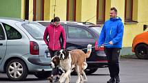 Poznáte obec na fotografii? Poradíme, že se nachází na severozápadním cípu Třebíčska.