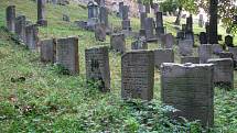 Židovský hřbitov nenajdete pouze v Třebíči. V okrese se můžete vyrazit podívat i na další. Ten jemnický patří k nejstarším na Moravě.