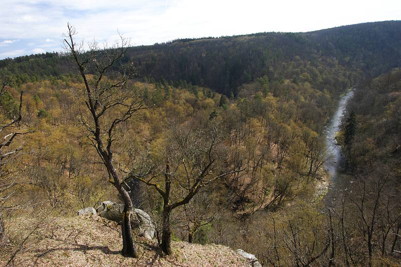 Údolí řeky Oslavy.